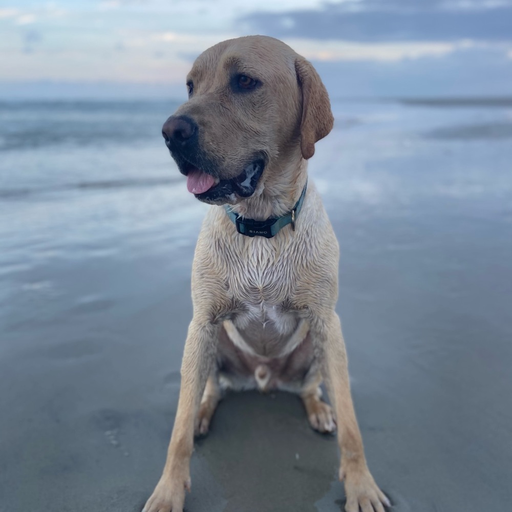 Hi there!! - Picture 5 of 8